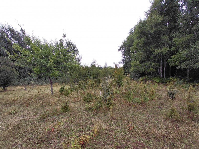 Agro-Parcela en Tegualda