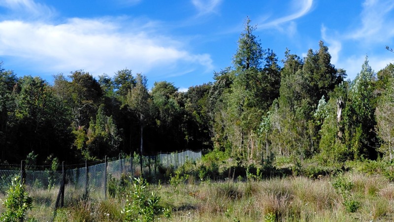 Agro-Parcela Ubicada en Parcelación los Notros Puerto Varas