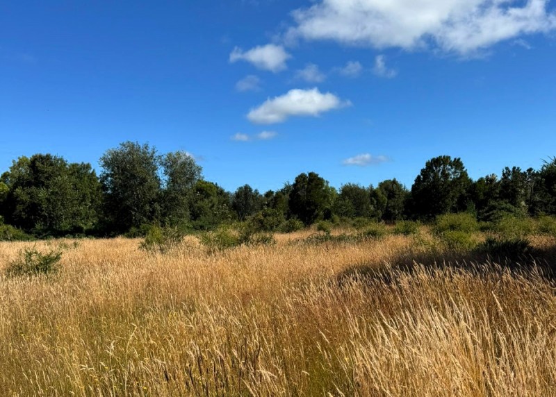 Parcela 63 Ubicada en Parcelación Costa Maullin