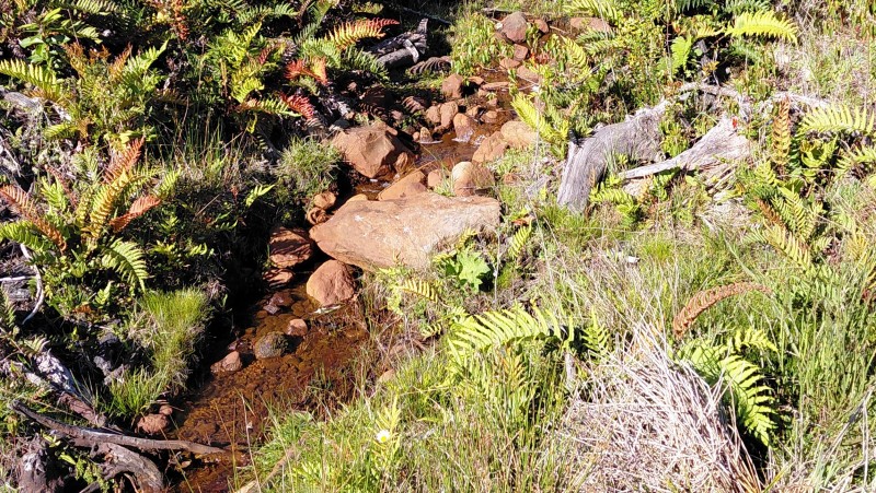 Agro-Parcela Ubicada en Parcelación los Notros Puerto Varas