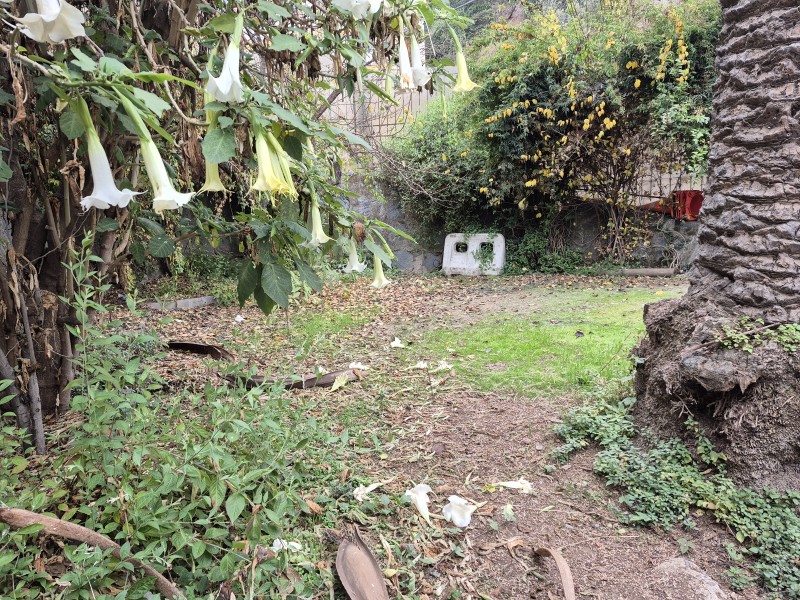 Vende Casa en Chorrillos Bajo Viña del Mar