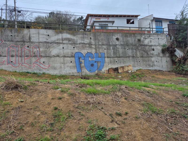 Vende Terreno Calle Miguel Schwab Valparaíso