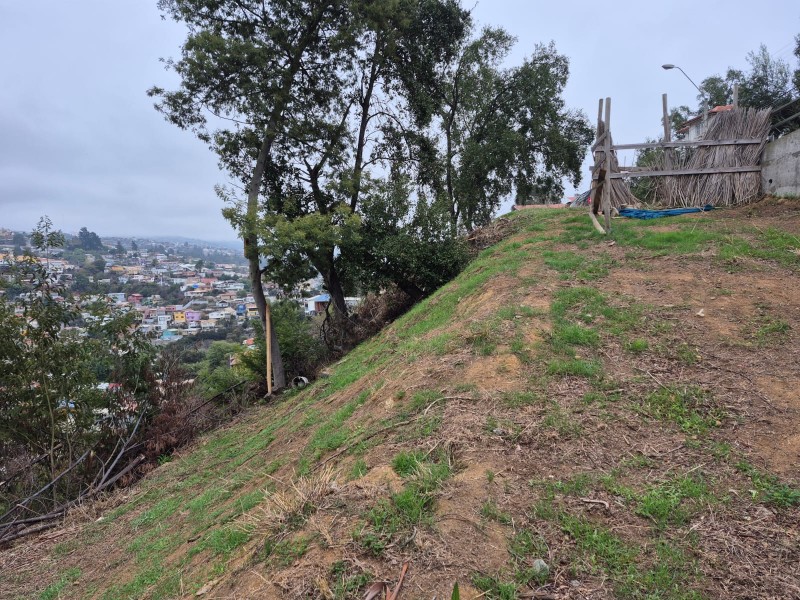 Vende Terreno Calle Miguel Schwab Valparaíso