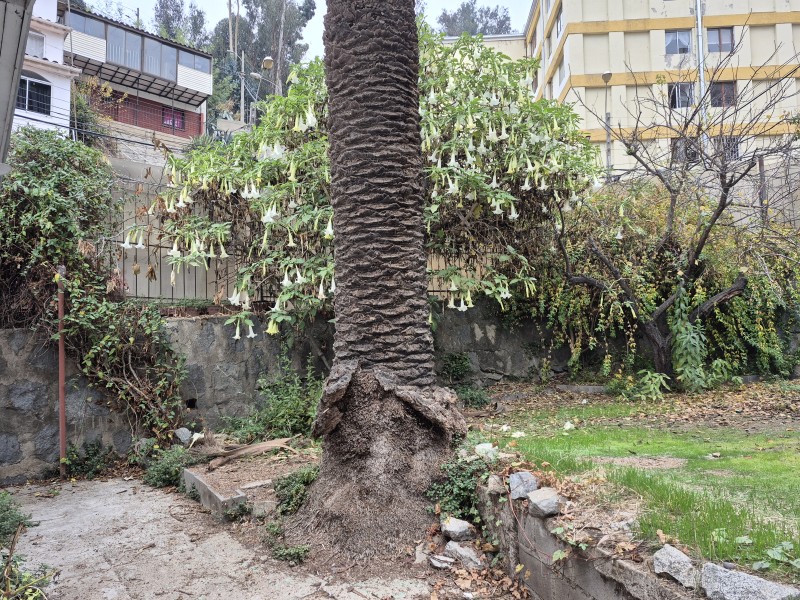 Vende Casa en Chorrillos Bajo Viña del Mar