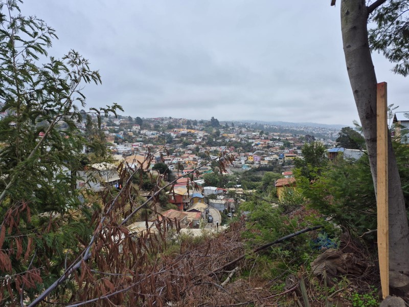 Vende Terreno Calle Miguel Schwab Valparaíso