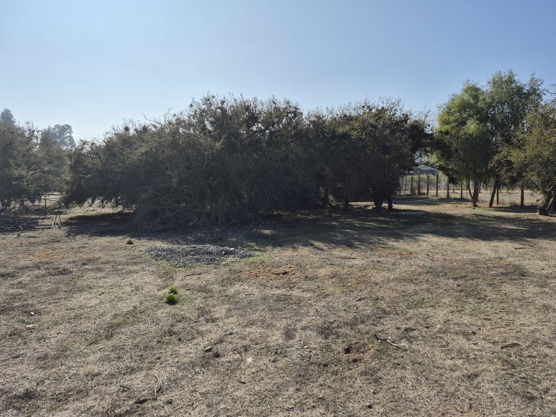 Vende Parcela Condominio Canto del Valle Camino Lo Orozco
