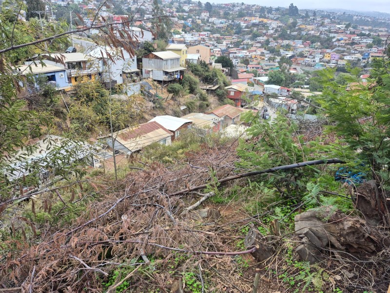 Vende Terreno Calle Miguel Schwab Valparaíso