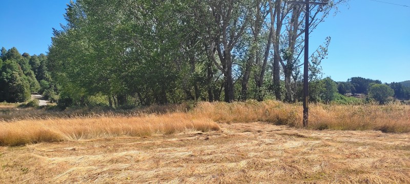 Arriendo Terreno Excelente Ubicación Antilhue, Valdivia