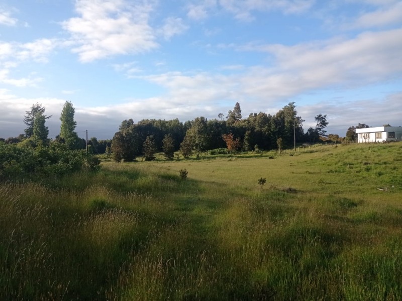 Venta de Terreno en Sector Puyan Comuna de Castro