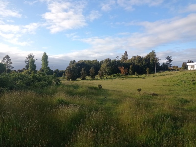 Venta de Terreno en Sector Puyan Comuna de Castro