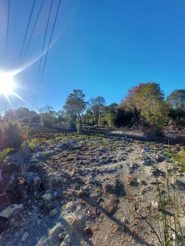 Vendo Parcela Alto Lomas de Panitao