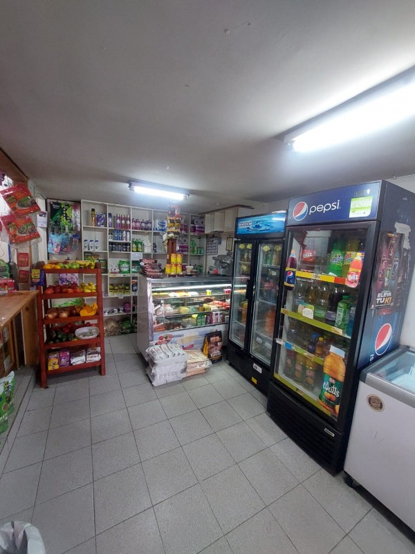Oportunidad! Vendo Casa + Negocio Alerce Sur Pasaje Quiquel