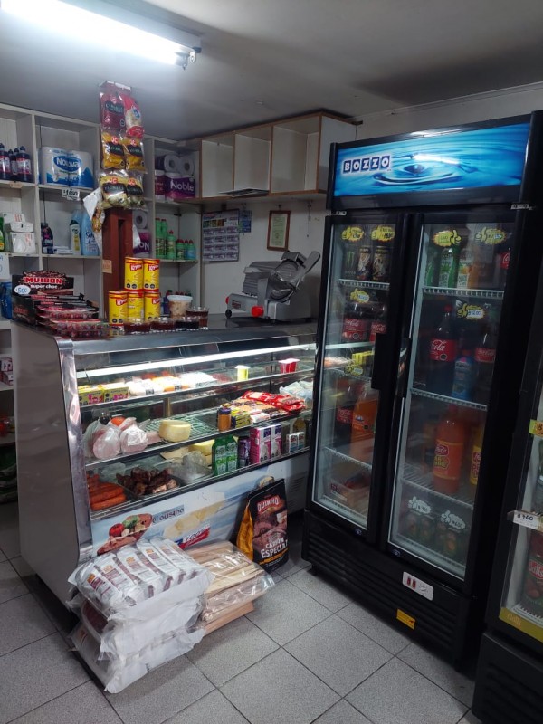 Oportunidad! Vendo Casa + Negocio Alerce Sur Pasaje Quiquel