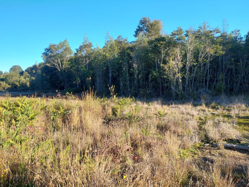 Vendo Parcela Alto Lomas de Panitao