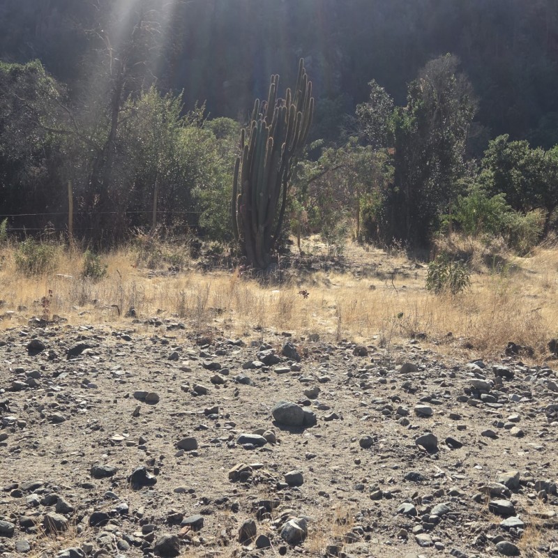 Se Vende Terreno en Quebrada Alvarado, Olmue