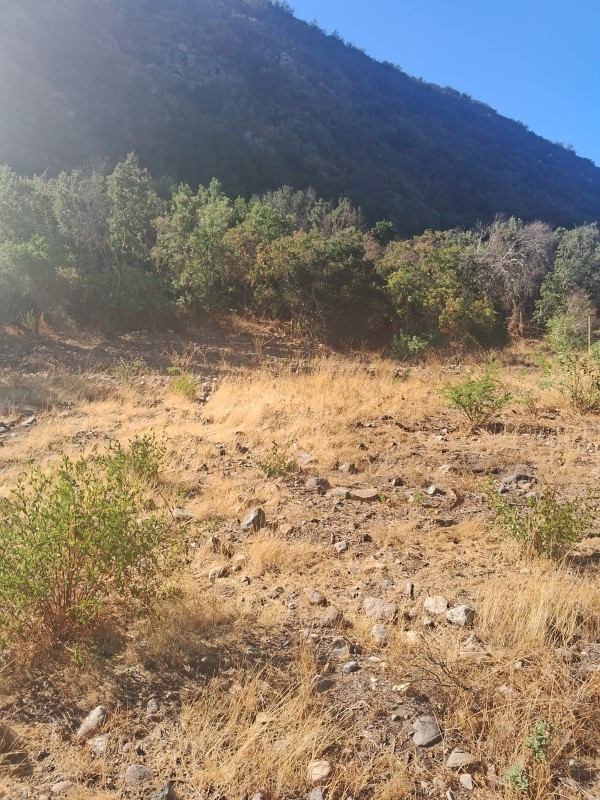 Se Vende Terreno en Quebrada Alvarado, Olmue