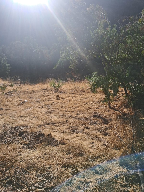 Se Vende Terreno en Quebrada Alvarado, Olmue