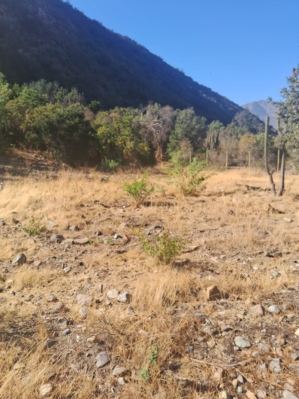 Se Vende Terreno en Quebrada Alvarado, Olmue
