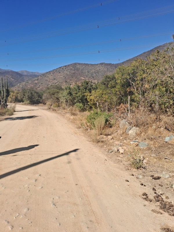 Se Vende Terreno en Quebrada Alvarado, Olmue