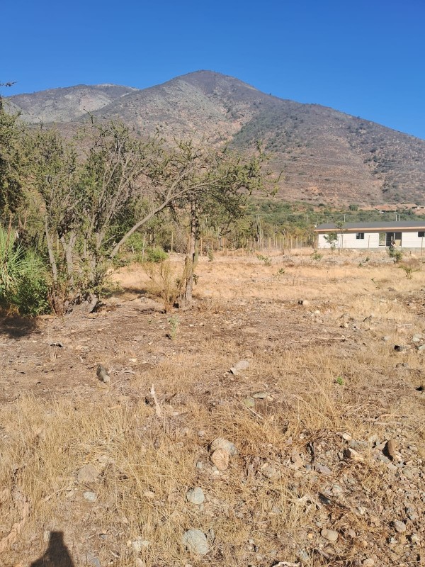 Se Vende Terreno en Quebrada Alvarado, Olmue