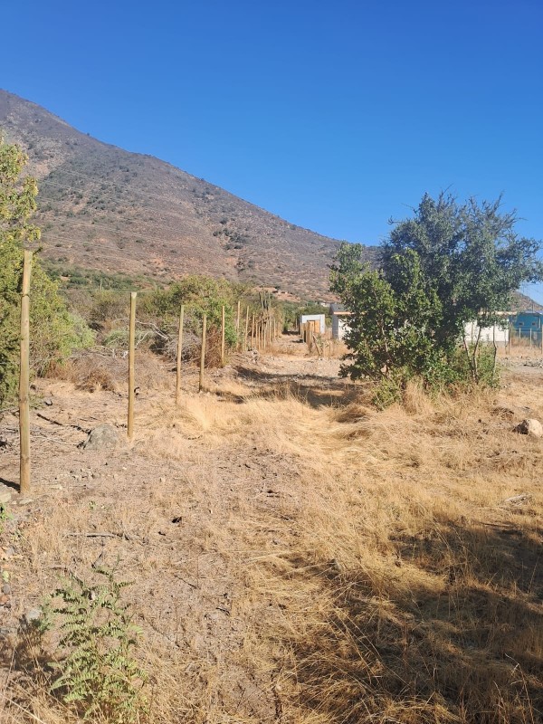 Se Vende Terreno en Quebrada Alvarado, Olmue
