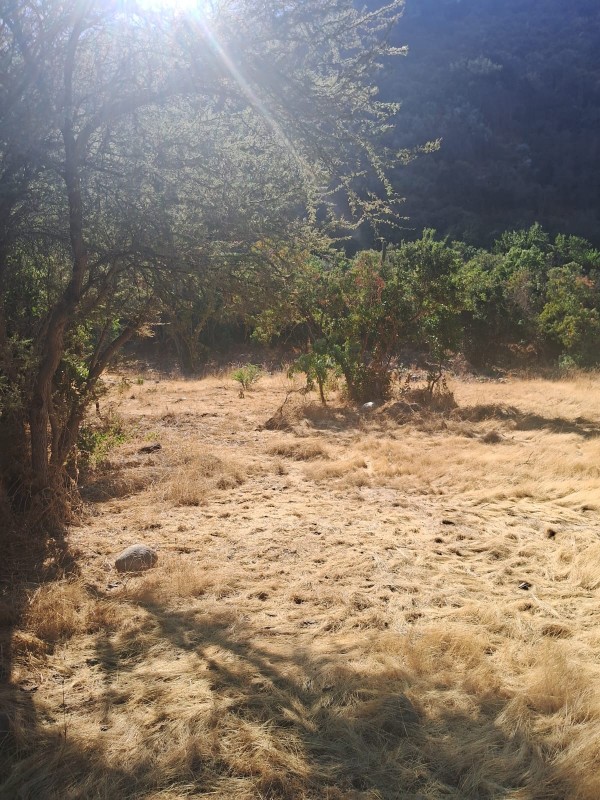 Se Vende Terreno en Quebrada Alvarado, Olmue