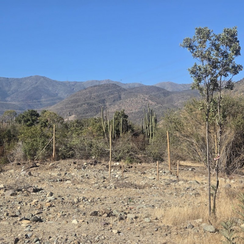 Se Vende Terreno en Quebrada Alvarado, Olmue