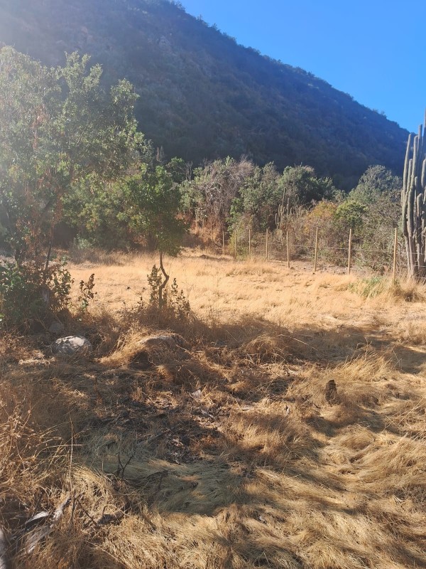 Se Vende Terreno en Quebrada Alvarado, Olmue