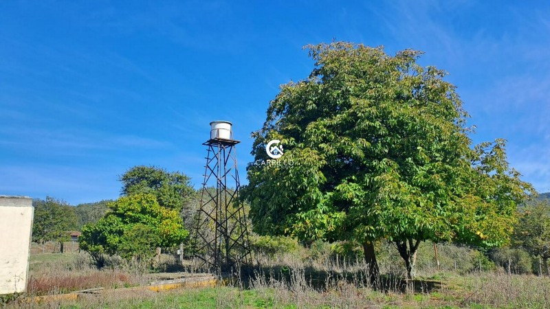 Carrillo Propiedades Vende Excelente Parcela Sector Pumalal