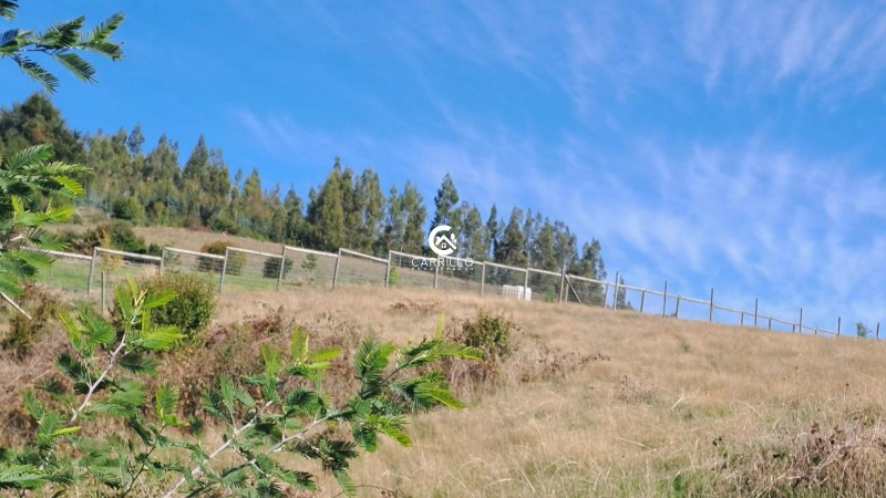 Carrillo Propiedades Vende Excelente Parcela Sector Pumalal