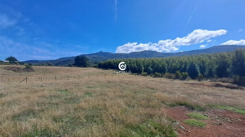 Carrillo Propiedades Vende Excelente Parcela Sector Pumalal