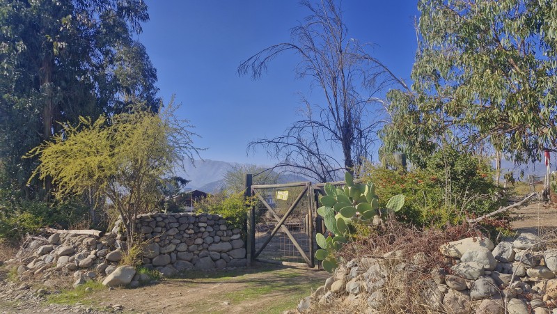 Parcela de Agrado,las Candelaria,mostazal