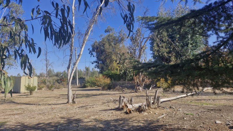 Parcela de Agrado,las Candelaria,mostazal