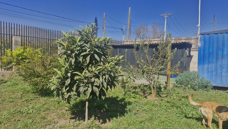 Galpon,bodega,1 Continente y Casa en 2 Piso.