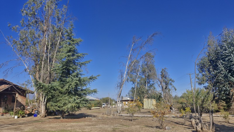 Parcela de Agrado,las Candelaria,mostazal