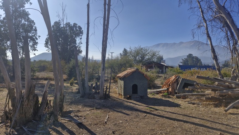 Parcela de Agrado,las Candelaria,mostazal