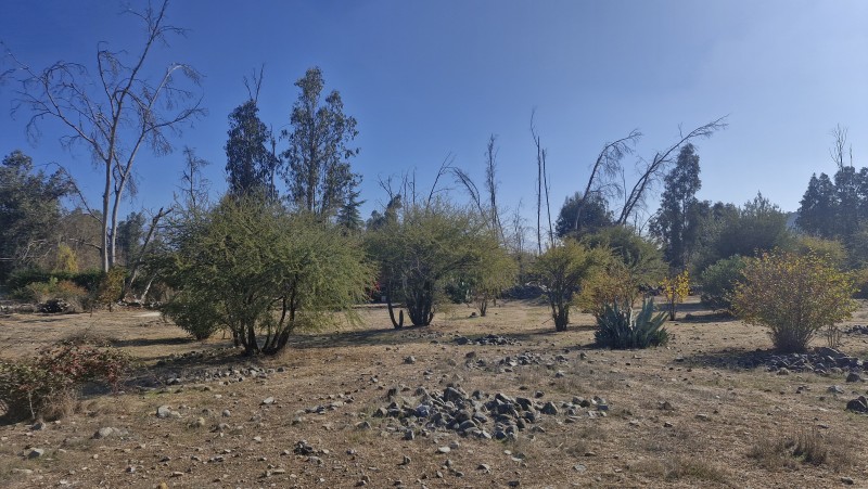 Parcela de Agrado,las Candelaria,mostazal
