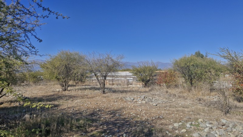Parcela de Agrado,las Candelaria,mostazal