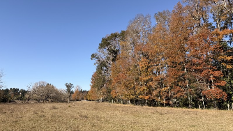 Fundo 69 Ha. A 5Km de Vrca: Plano, Luz, Derechos Agua y Rio