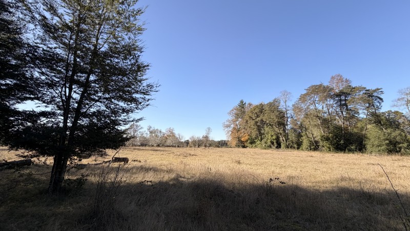 Fundo 69 Ha. A 5Km de Vrca: Plano, Luz, Derechos Agua y Rio