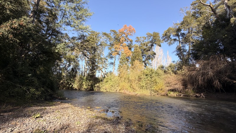 Fundo 69 Ha. A 5Km de Vrca: Plano, Luz, Derechos Agua y Rio