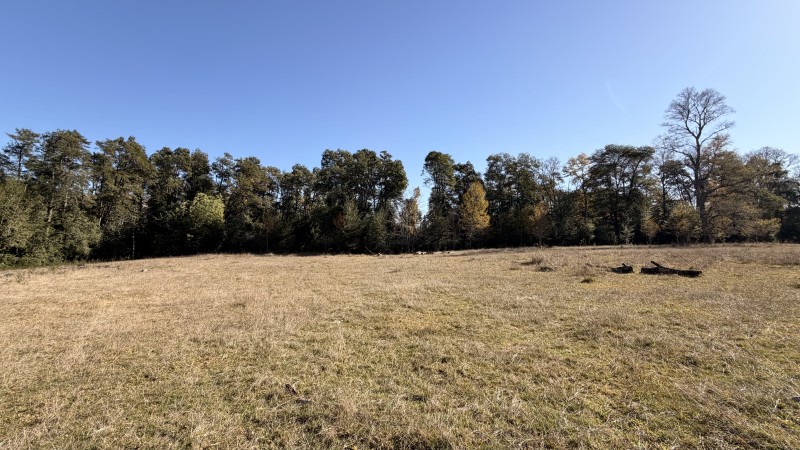 Fundo 69 Ha. A 5Km de Vrca: Plano, Luz, Derechos Agua y Rio