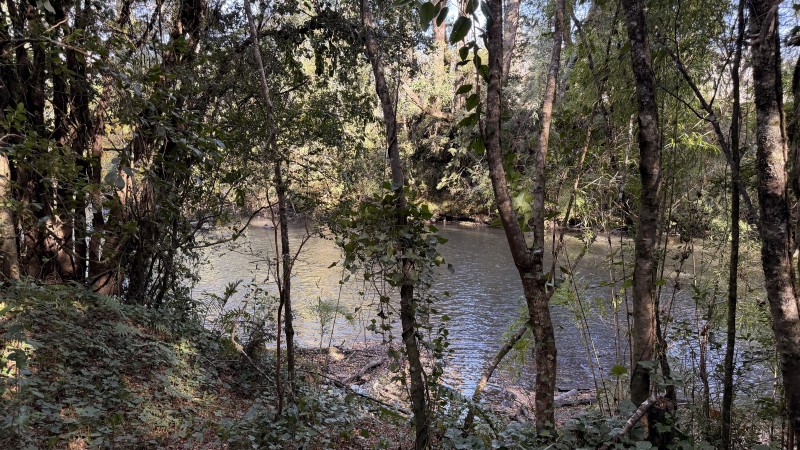Fundo 69 Ha. A 5Km de Vrca: Plano, Luz, Derechos Agua y Rio