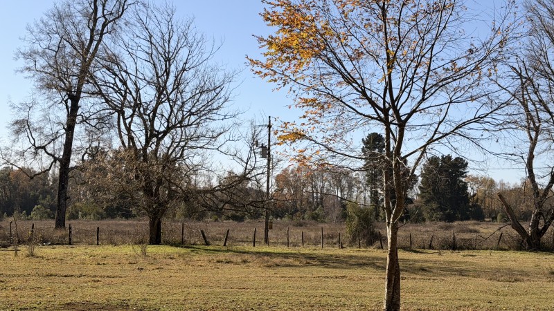Fundo 69 Ha. A 5Km de Vrca: Plano, Luz, Derechos Agua y Rio