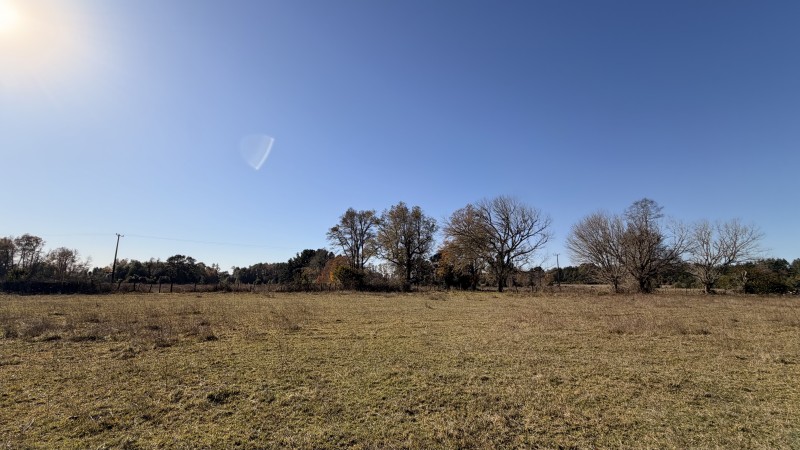 Fundo 69 Ha. A 5Km de Vrca: Plano, Luz, Derechos Agua y Rio