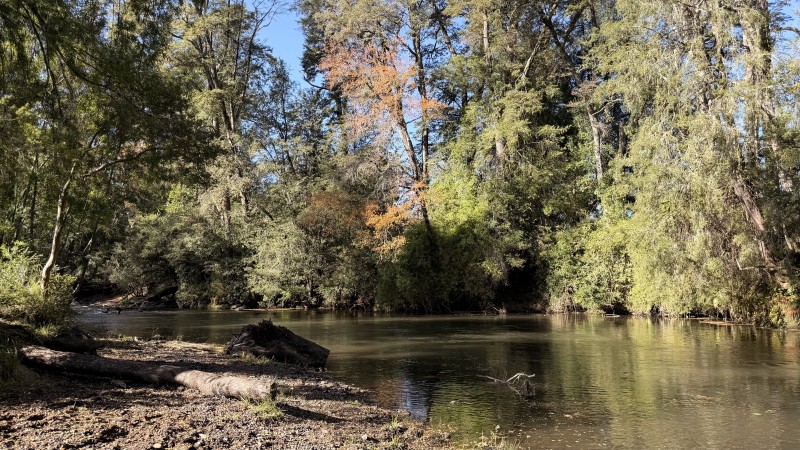 Fundo 69 Ha. A 5Km de Vrca: Plano, Luz, Derechos Agua y Rio