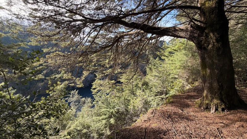 Parcelas Con Vista Al Río Toltén