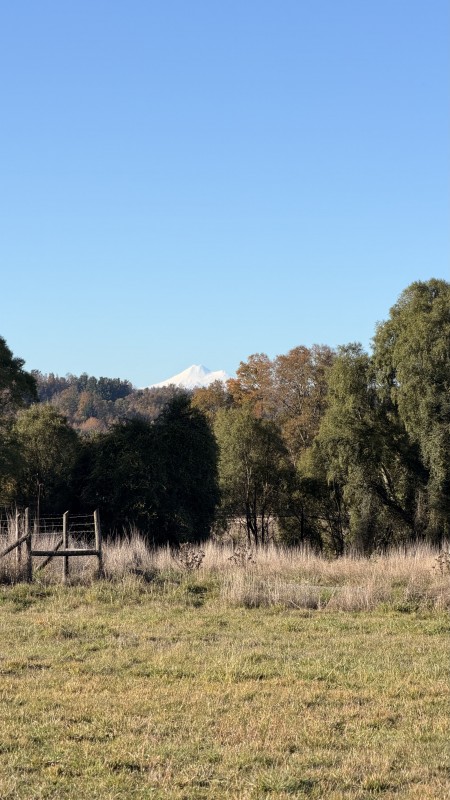 Parcela Loncoche-Vrca: Rol Propio y Vista A 2 Volcanes