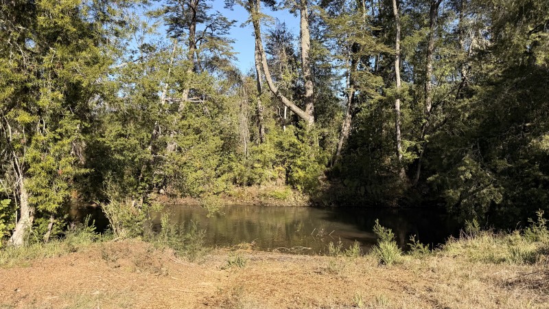 Fundo 69 Ha. A 5Km de Vrca: Plano, Luz, Derechos Agua y Rio