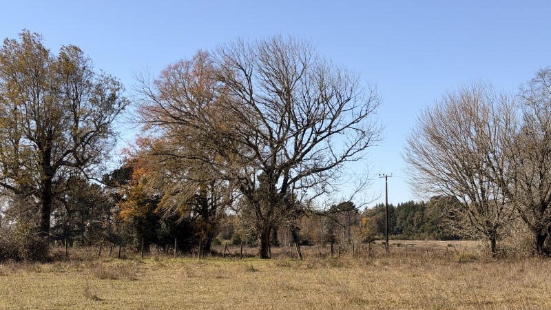 Fundo 69 Ha. A 5Km de Vrca: Plano, Luz, Derechos Agua y Rio